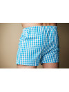 Труси-боксери Regata Club Dark Blue Strip - 44/2XS