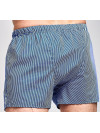 Труси-боксери Regata Club Blue Stripe