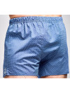 Труси-боксери Regata Club Light Blue Polka Dot