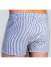 Труси-боксери Regata Club Classic Strip Blue - 42/3XS