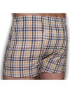 Труси-боксери Regata Club Yellow-Blue-Brown Sell - 52/L