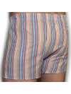 Труси-боксери Regata Club Good Mood Strip - 46/XS