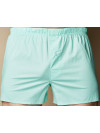 Труси-боксери Regata Club Light Green Trunks - 62/5XL