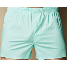 Труси-боксери Regata Club Light Green Trunks - 62/5XL
