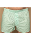 Труси-боксери Regata Club Avocado Love - 50/M