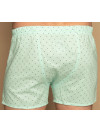 Труси-боксери Regata Club Avocado Love - 50/M
