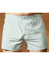Труси-боксери Regata Club Classic Light Green Strip - 44/2XS