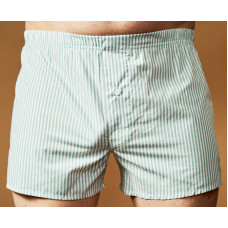 Труси-боксери Regata Club Classic Light Green Strip - 44/2XS