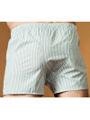 Труси-боксери Regata Club Classic Light Green Strip - 44/2XS