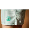 Труси-боксери Regata Club Classic Light Green Strip - 44/2XS