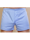 Труси-боксери Regata Club Light Blue Pine Tree - 58/3XL