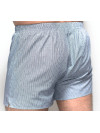 Труси-боксери Regata Club Premium Gray Strip