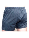 Труси-боксери Regata Club Premium Gray-Brown Strip