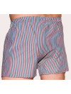 Труси-боксери Regata Club Premium Red Blue Strip - 40/4XS