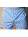 Труси-боксери Regata Club Premium Windsor Strip - 40/4XS
