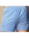 Труси-боксери Regata Club Premium Windsor Strip - 40/4XS