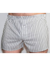 Труси-боксери Regata Club Premium Grey Matrix - 40/4XS