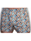 Труси-боксери Regata Club Premium Brown Cornflower - 46/XS