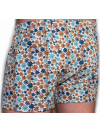 Труси-боксери Regata Club Premium Brown Cornflower - 46/XS
