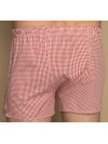 Труси-боксери Regata Club Premium Small Red Cell Classic - 44/2XS