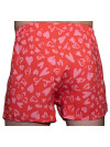 Труси-боксери Regata Club Premium Lovely Hearts Cotton - 46/XS