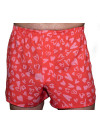 Труси-боксери Regata Club Premium Lovely Hearts Viscose - 40/4XS