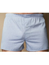 Труси-боксери Regata Club Premium Light Grey Strip Classic - 44/2XS