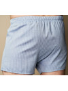 Труси-боксери Regata Club Premium Light Grey Strip Classic - 44/2XS