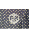 Труси-боксери Regata Club Premium White Pepper - 44/2XS