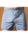 Труси-боксери Regata Club Premium Light Grey Classic Clipping - 48/S