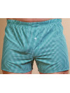 Труси-боксери Regata Club Premium Dark-Grey Premium Small Green Cell - 48/S