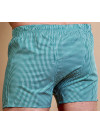 Труси-боксери Regata Club Premium Dark-Grey Premium Small Green Cell - 48/S